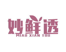 妙鲜透 第30类小食配料商标图样