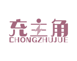 充主角 第9类科学仪器商标图样