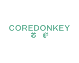芯驴  CORE DONKEY 第9类科学仪器商标图样