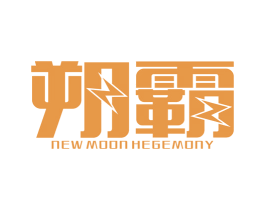 朔霸 NEW MOON HEGEMONY 第9类科学仪器商标图样