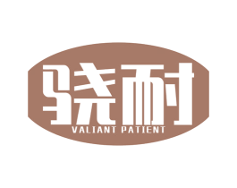 骁耐 VALIANT PATIENT 第9类科学仪器商标图样