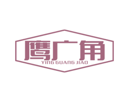 鹰广角 第9类科学仪器商标图样