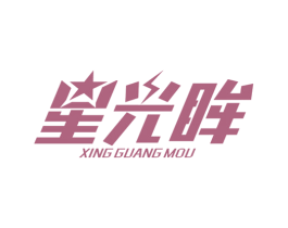 星光眸 第9类科学仪器商标图样