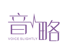 音略  VOICE SLIGHTLY 第9类科学仪器商标图样