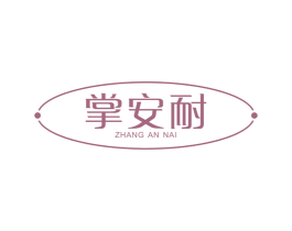 掌安耐 第9类科学仪器商标图样