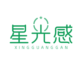 星光感 第12类运输工具商标图样