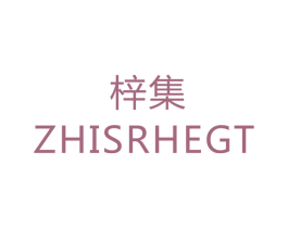 梓集 ZHISRHEGT 第28类体育玩具商标图样