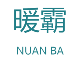 暖霸 第9类科学仪器商标图样