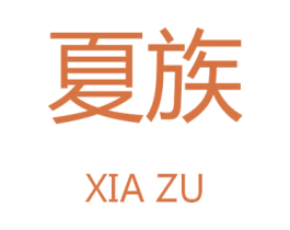 夏族 第9类科学仪器商标图样