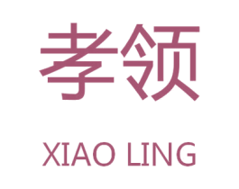 孝领 第9类科学仪器商标图样