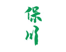 保川 第27类地毯席垫商标图样
