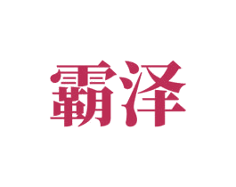 霸泽 第9类科学仪器商标图样