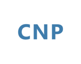 CNP 第26类花边配饰商标图样