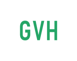 GVH 第14类珠宝钟表商标图样