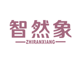 智然象 第9类科学仪器商标图样
