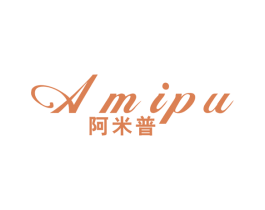 阿米普 第9类科学仪器商标图样