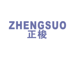 正梭 第9类科学仪器商标图样
