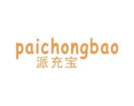派充宝 第9类科学仪器商标图样