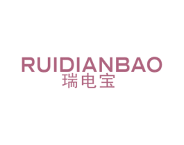 瑞电宝 第9类科学仪器商标图样