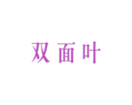 双面叶 第3类化妆品商标图样