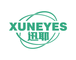 迅耶 XUNEYES 第9类科学仪器商标图样