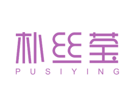 朴丝莹 第27类地毯席垫商标图样