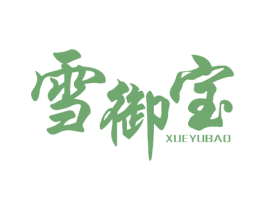 雪御宝 第10类医疗器械商标图样