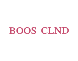 BOOS CLND 第25类服装鞋帽商标图样