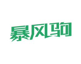 暴风驹 第12类运输工具商标图样