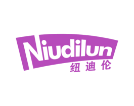 纽迪伦 第9类科学仪器商标图样