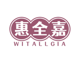 惠全嘉 WITALLGIA 第21类厨房洁具商标图样