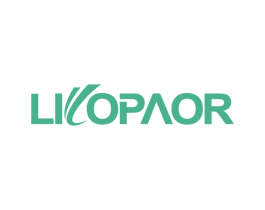 LILOPAOR 第25类服装鞋帽商标图样