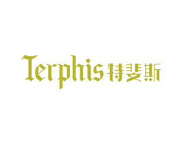 TERPHIS 特斐斯 第19类建筑材料商标图样