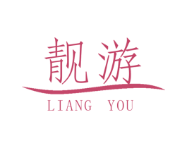 靓游 第42类技术服务商标图样