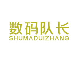 数码队长 第28类体育玩具商标图样