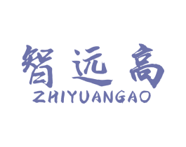 智远高 第28类体育玩具商标图样