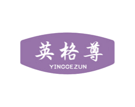 英格尊 第22类绳网袋篷商标图样