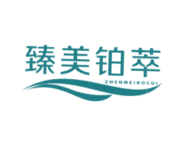 臻美铂萃 第14类珠宝钟表商标图样