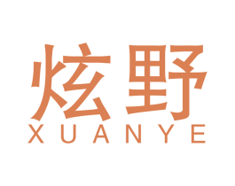 炫野 第11类家用电器商标图样