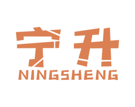 宁升 第10类医疗器械商标图样