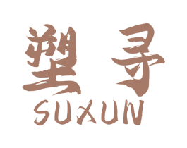 塑寻 第10类医疗器械商标图样