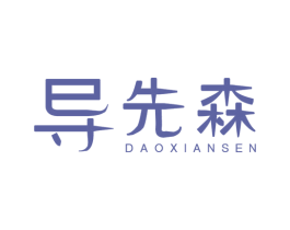 导先森 第9类科学仪器商标图样