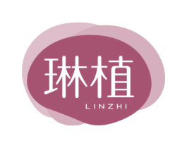 琳植 第16类办公工具商标图样