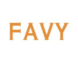 FAVY 第12类运输工具商标图样