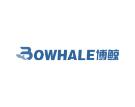博鲸  BOWHALE 第27类地毯席垫商标图样