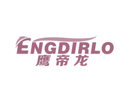 鹰帝龙 ENGDIRLO 第12类运输工具商标图样