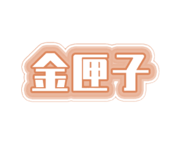 金匣子 第17类橡胶制品商标图样