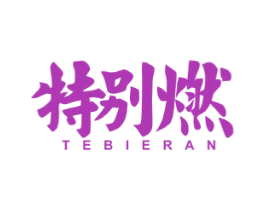 特别燃 第25类服装鞋帽商标图样