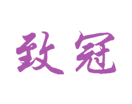 致冠 第28类体育玩具商标图样