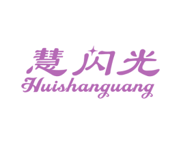 慧闪光 第41类教育娱乐商标图样